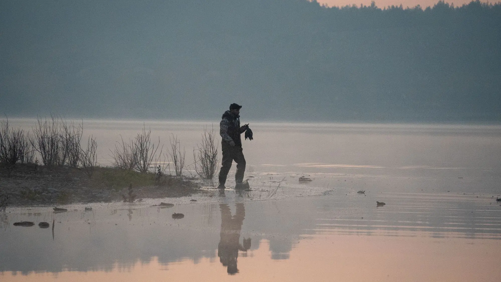 Hunter walking a foggy lakeshore at sunrise